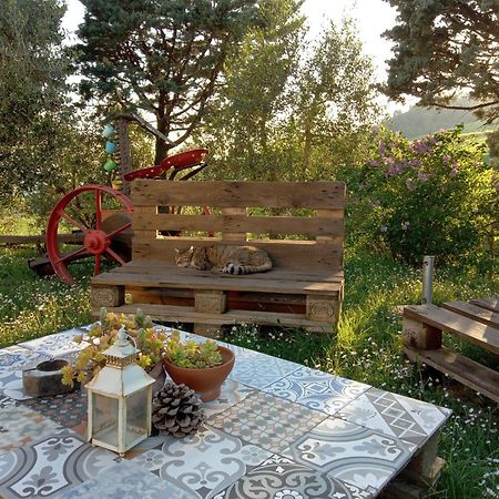 Agriturismo Santa Bruna Volterra Dış mekan fotoğraf