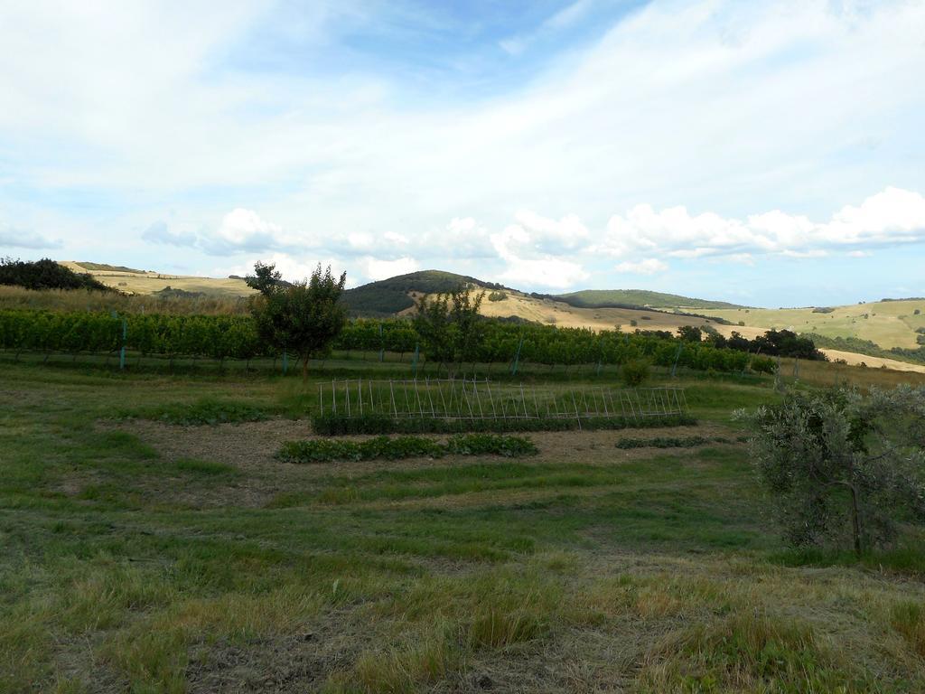 Agriturismo Santa Bruna Volterra Dış mekan fotoğraf