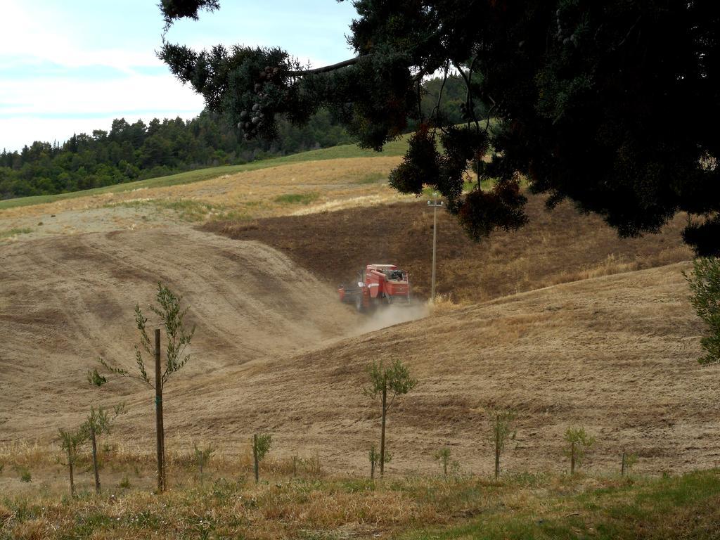 Agriturismo Santa Bruna Volterra Dış mekan fotoğraf