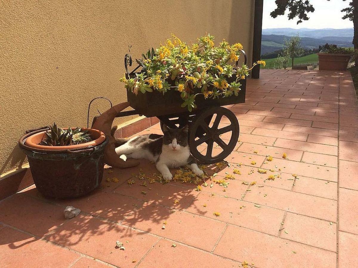 Agriturismo Santa Bruna Volterra Dış mekan fotoğraf