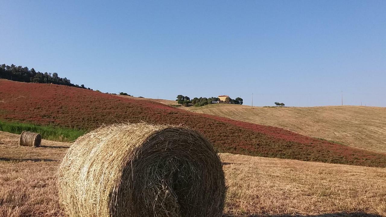Agriturismo Santa Bruna Volterra Dış mekan fotoğraf